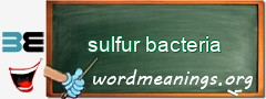 WordMeaning blackboard for sulfur bacteria